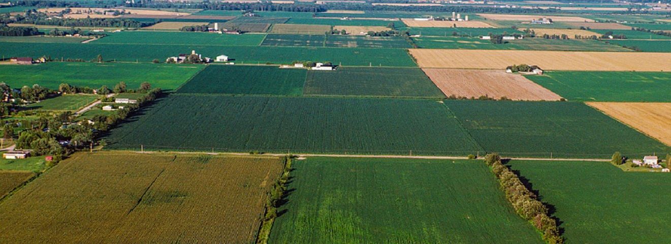 Земли сельскохозяйственного назначения.