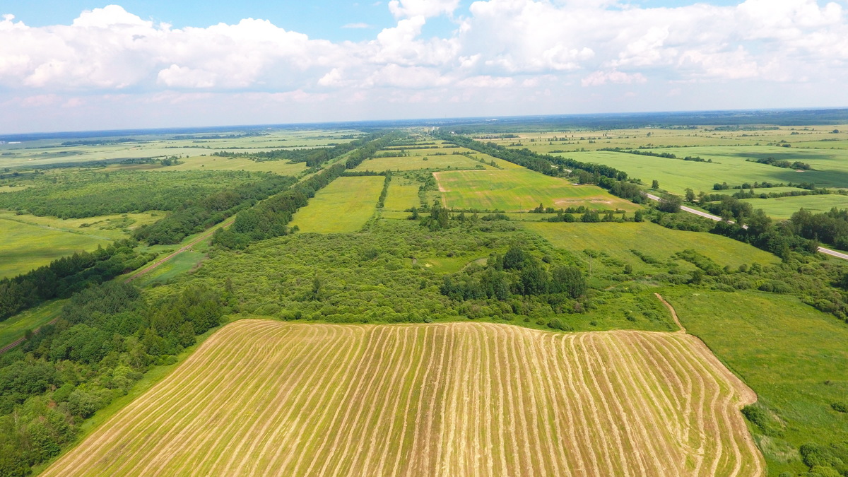 Земли сельскохозяйственного назначения.