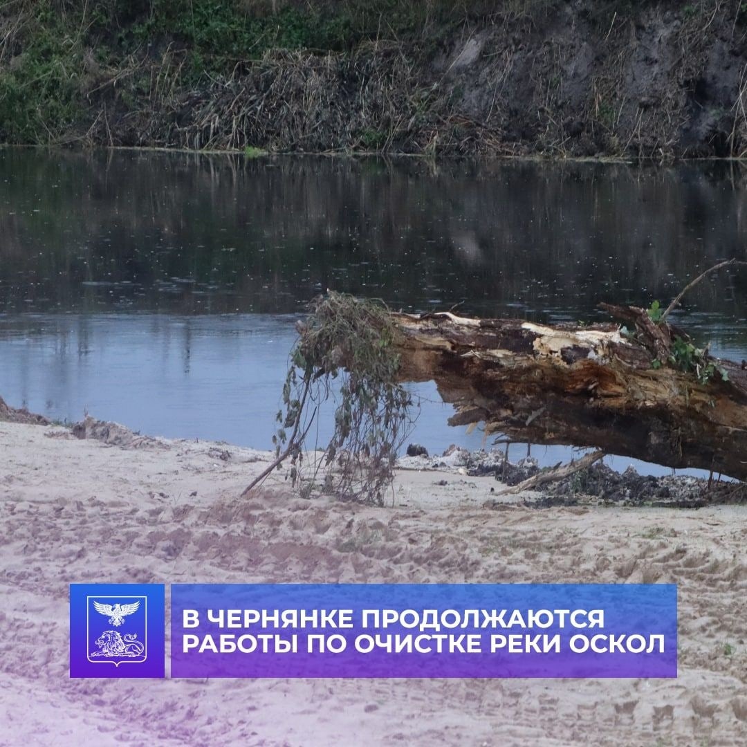 Вчера на пляже &quot;Семейный&quot;, глава Чернянского района встретилась с жителями посёлка для обсуждения хода работ по очистке реки Оскол.