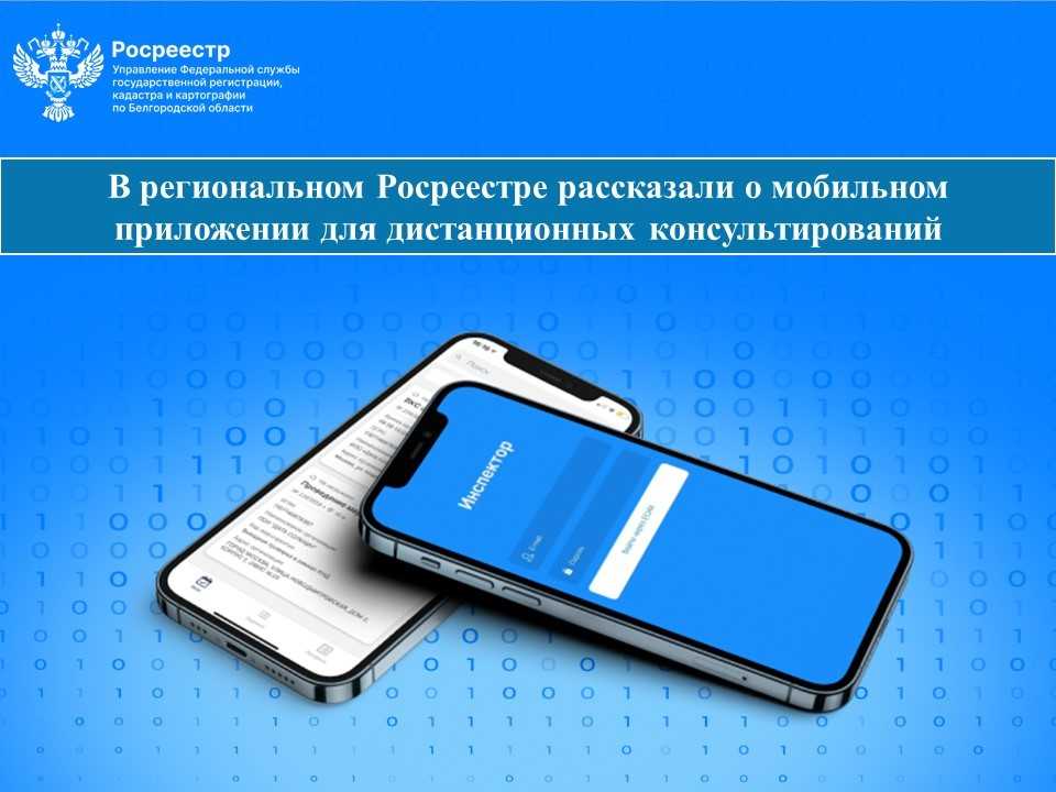 В региональном Росреестре рассказали о мобильном приложении для дистанционных консультирований.