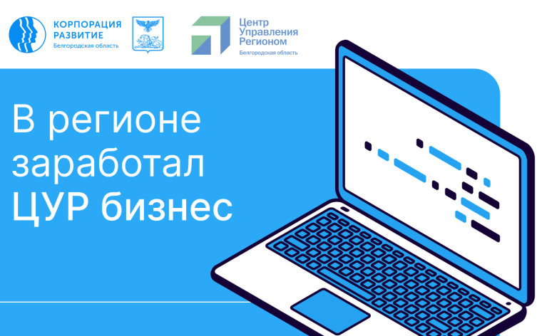 У предпринимателей и инвесторов Белгородской области появился еще один эффективный инструмент обратной связи с органами власти — это система ЦУР «Бизнес»..