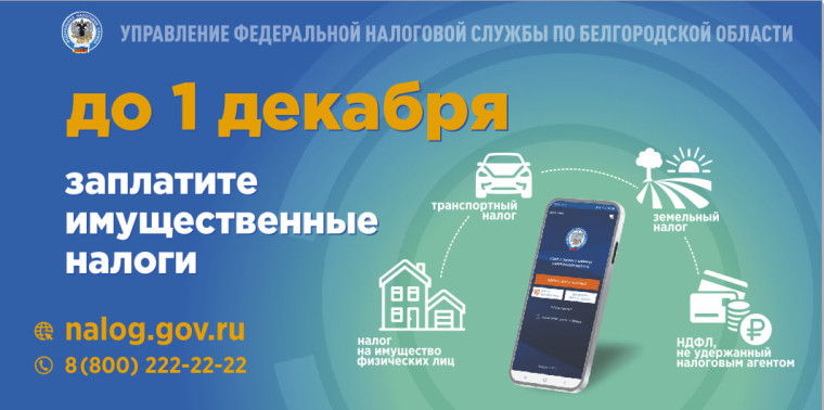 Уплатить имущественные налоги нужно не позднее 1 декабря. Уплатить имущественные налоги нужно не позднее 1 декабря.