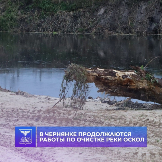 Вчера на пляже "Семейный", глава Чернянского района встретилась с жителями посёлка для обсуждения хода работ по очистке реки Оскол.