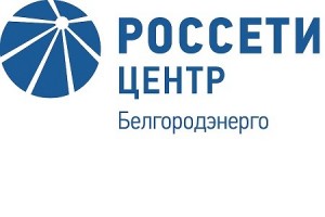 ПАО «Россети-Центр»-«Белгородэнерго» каждый четверг проводит День клиента в общественной приемной «Единой России».