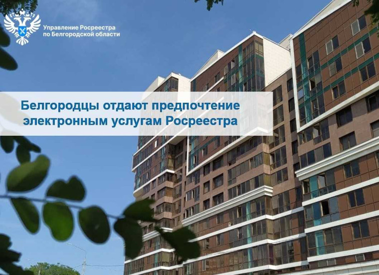 Белгородцы отдают предпочтение электронным услугам Росреестра.