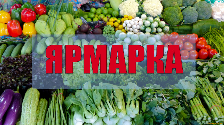 Администрация Чернянского района приглашает всех желающих реализовать излишки своей продукции. Администрация Чернянского района приглашает всех желающих реализовать излишки своей продукции.
