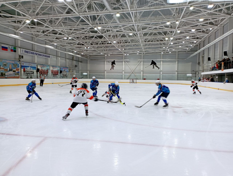 Чернянские хоккеисты стали победителями Первенства Белгородской области по хоккею.