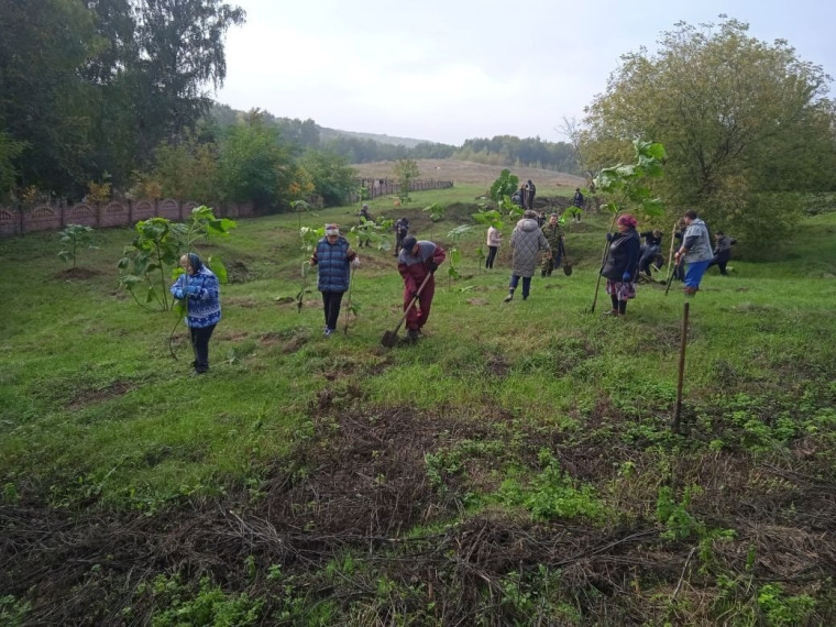 Несмотря на ненастную погоду чернянцы приняли участие в областном экологическом субботнике.